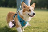 Botella de Agua Portatil para Perros - Bebedero Plegable Antigoteo con Filtro